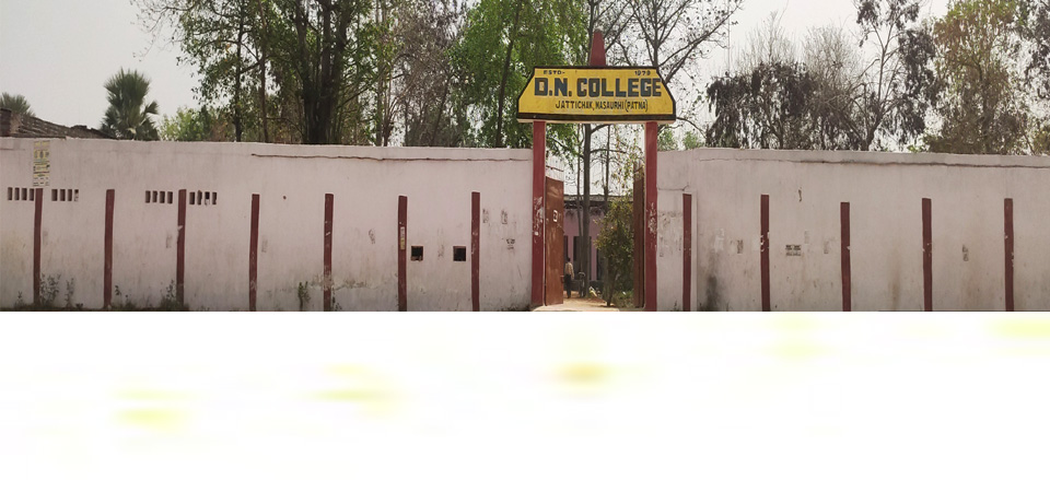 D. N. College