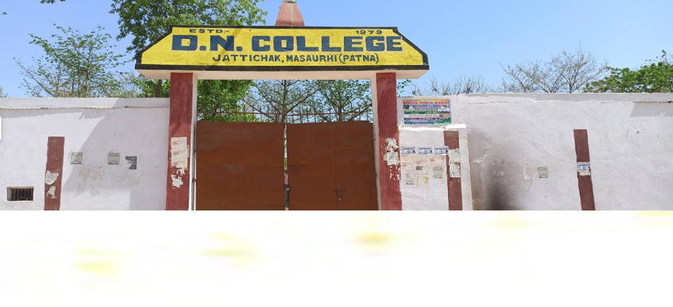 D. N. College