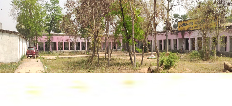 D. N. College